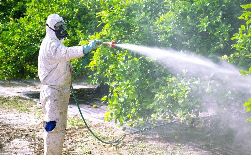 Fumigation Service in Cumming, GA