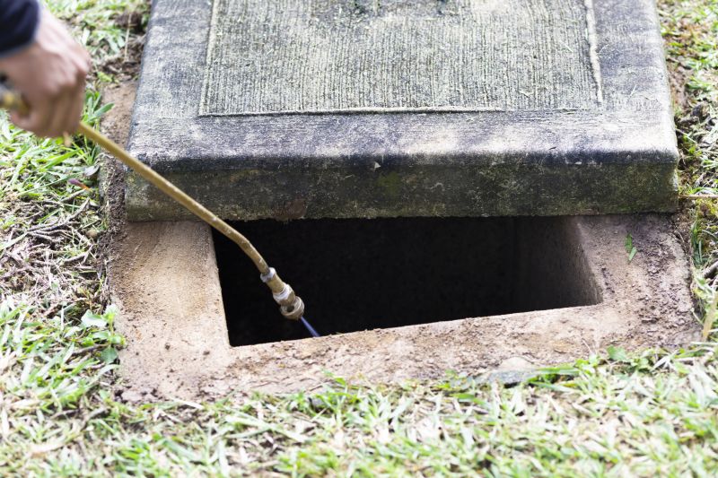 Rat Fumigation Service in West Palm Beach, FL