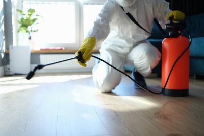 Common Spiders Extermination in Katy, TX