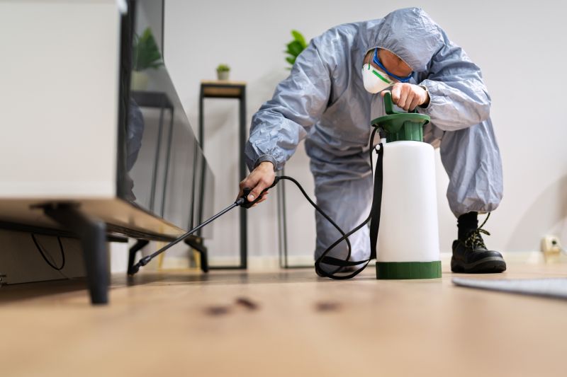 Fumigation Service in Phoenix, AZ