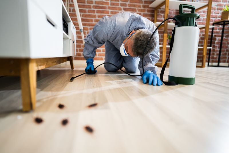 Insect Extermination Service in Frisco, TX