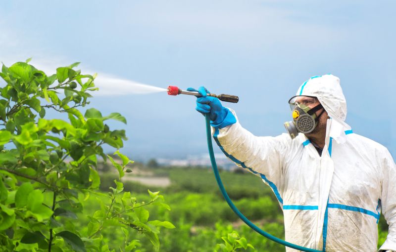 Pest Fumigation Service in Winston Salem, NC