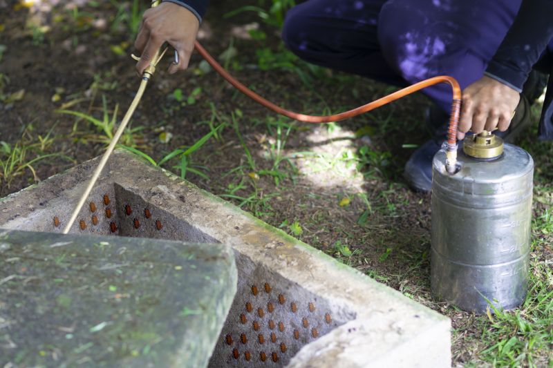 Pest Fumigation Service in Fort Myers, FL