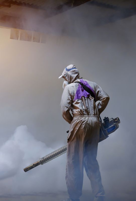 Rat Fumigation Service in Santa Fe, NM