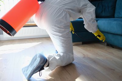 Roach Fumigation in Kalamazoo, MI