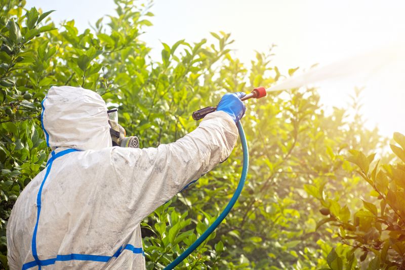 Spider Fumigation Service in Bellingham, WA