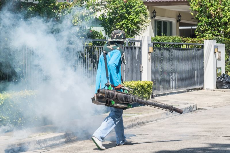 Spider Fumigation Service in Coeur D Alene, ID