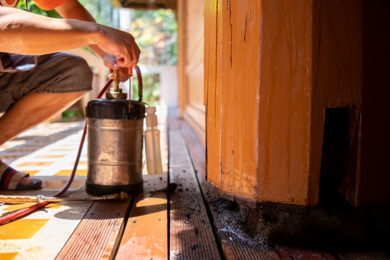 Termite Inspection Service in Frisco, TX
