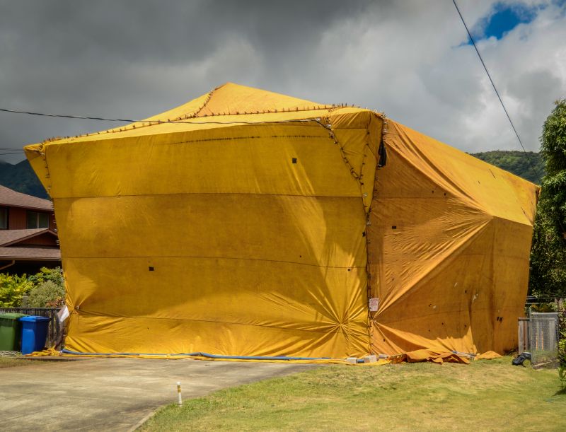 Termite Tenting in Wilmington, NC