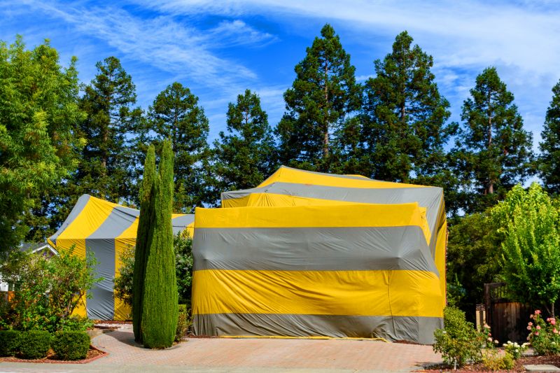 Termite Tenting in Wilmington, DE